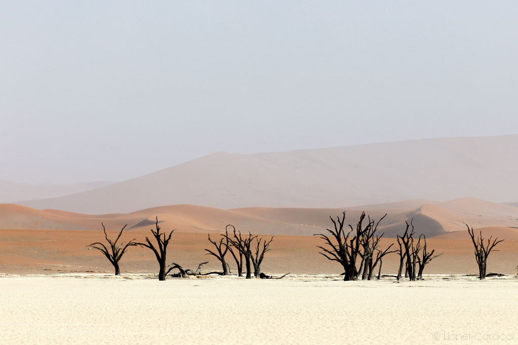 Tableau photo de Désert, en Namibie. Photographie d'art de paysage nature de Lionel Caracci, qui expose par ailleurs son travail chez Krom Galerie Lyon.