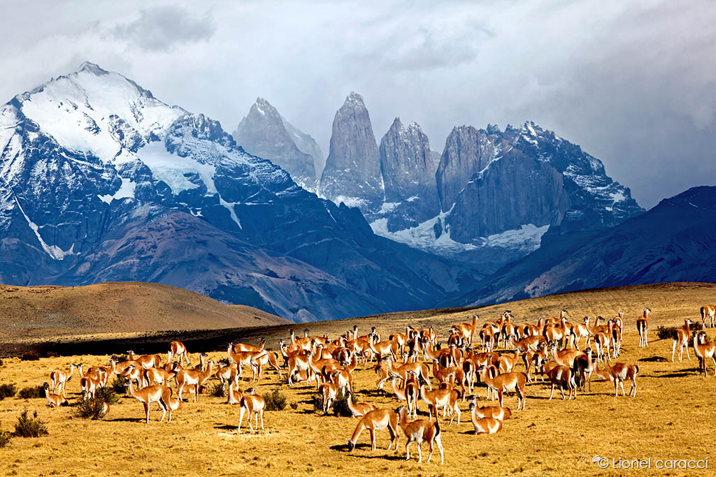 Photo du Parc national Torres del Paine en Patagonie © Lionel Caracci Krom Galerie